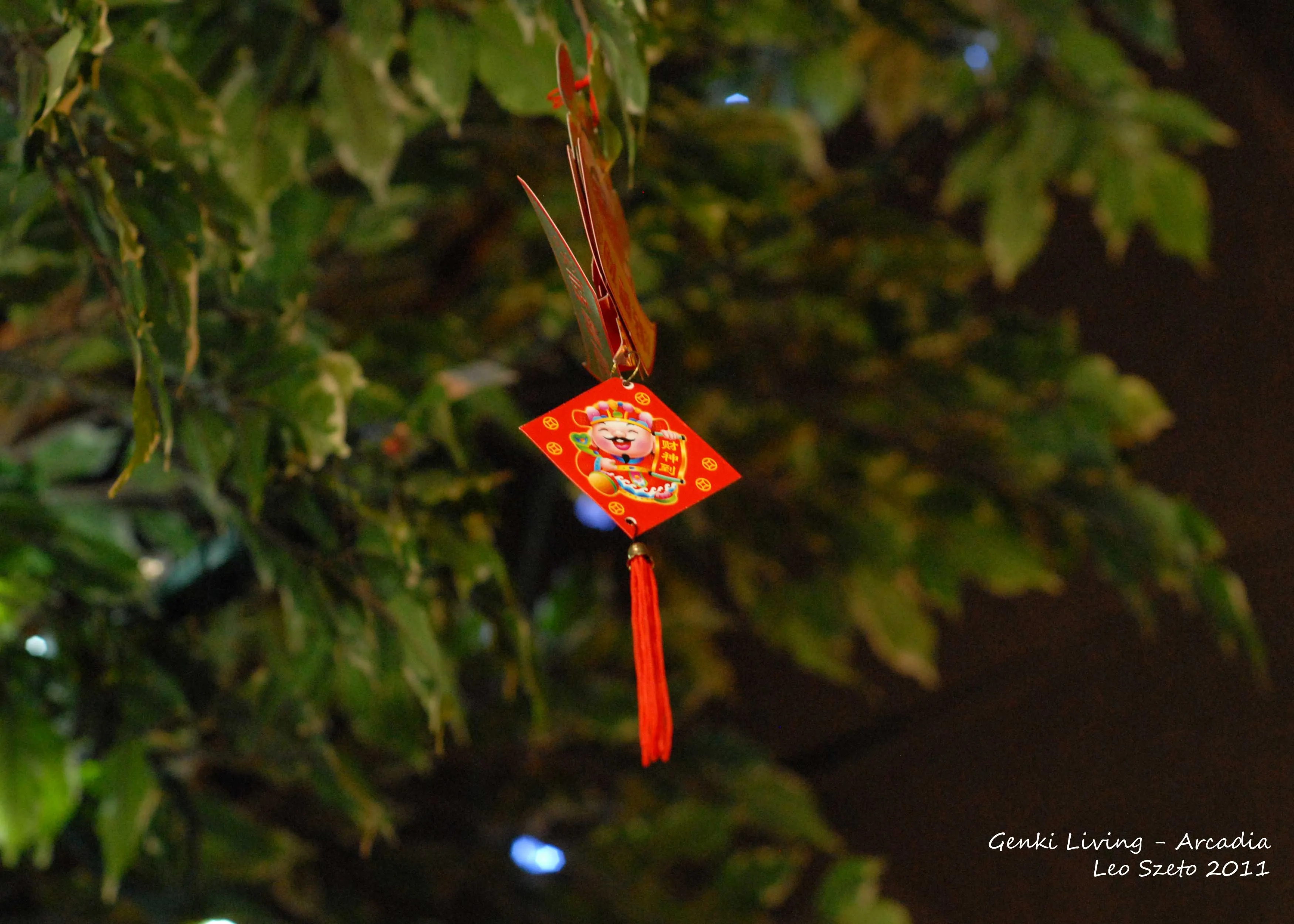 Photograph 2 from Leo Szeto's collection